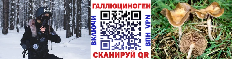 Псилоцибиновые грибы Cubensis  Купить где  Борисоглебск 